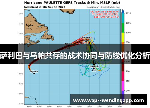 萨利巴与乌帕共存的战术协同与防线优化分析