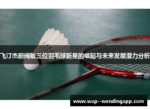 飞汀杰蔚阀敏三位羽毛球新星的崛起与未来发展潜力分析
