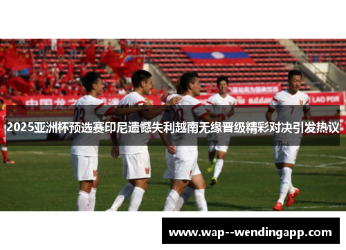 2025亚洲杯预选赛印尼遗憾失利越南无缘晋级精彩对决引发热议
